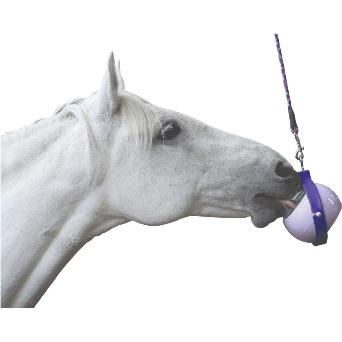 2026 Likit Boredom Buster 1560119 - Lilac